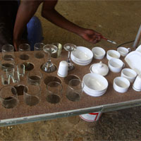 Caravan gallery image